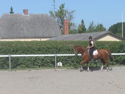 img_3202_web